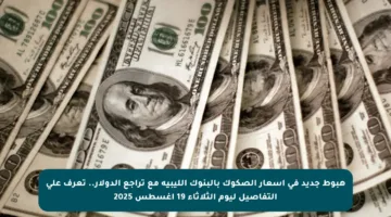 هبوط جديد في أسعار الصكوك بالبنوك الليبية مع تراجع الدولار.. تعرف على التفاصيل ليوم الثلاثاء 19 أغسطس 2025